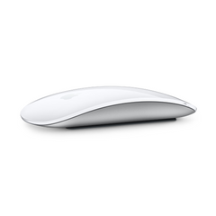 APPLE MAGIC MOUSE