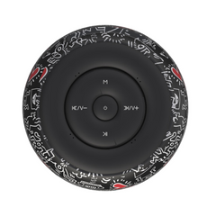 SPEAKER KEITH HARING 5W CELLY
