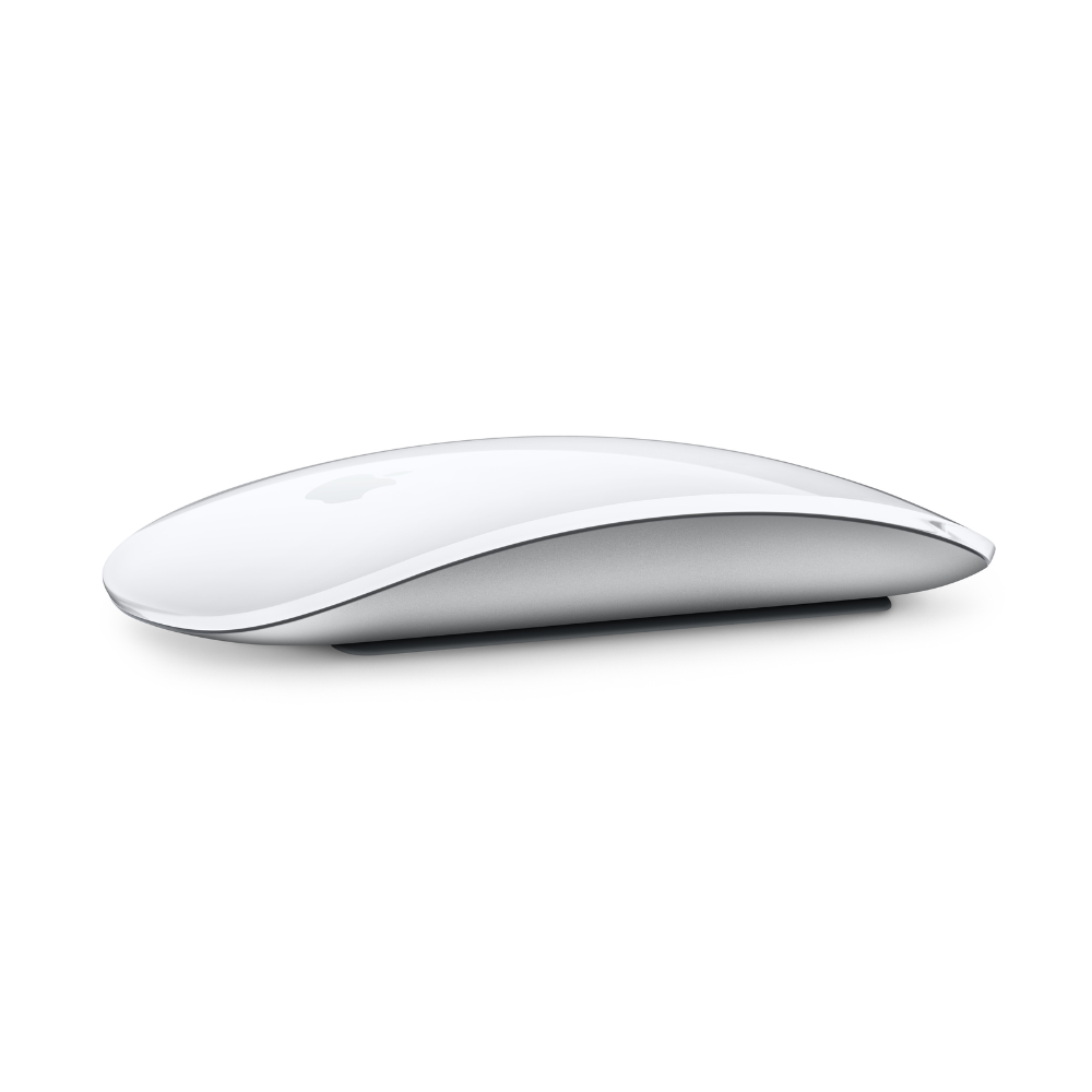 APPLE MAGIC MOUSE