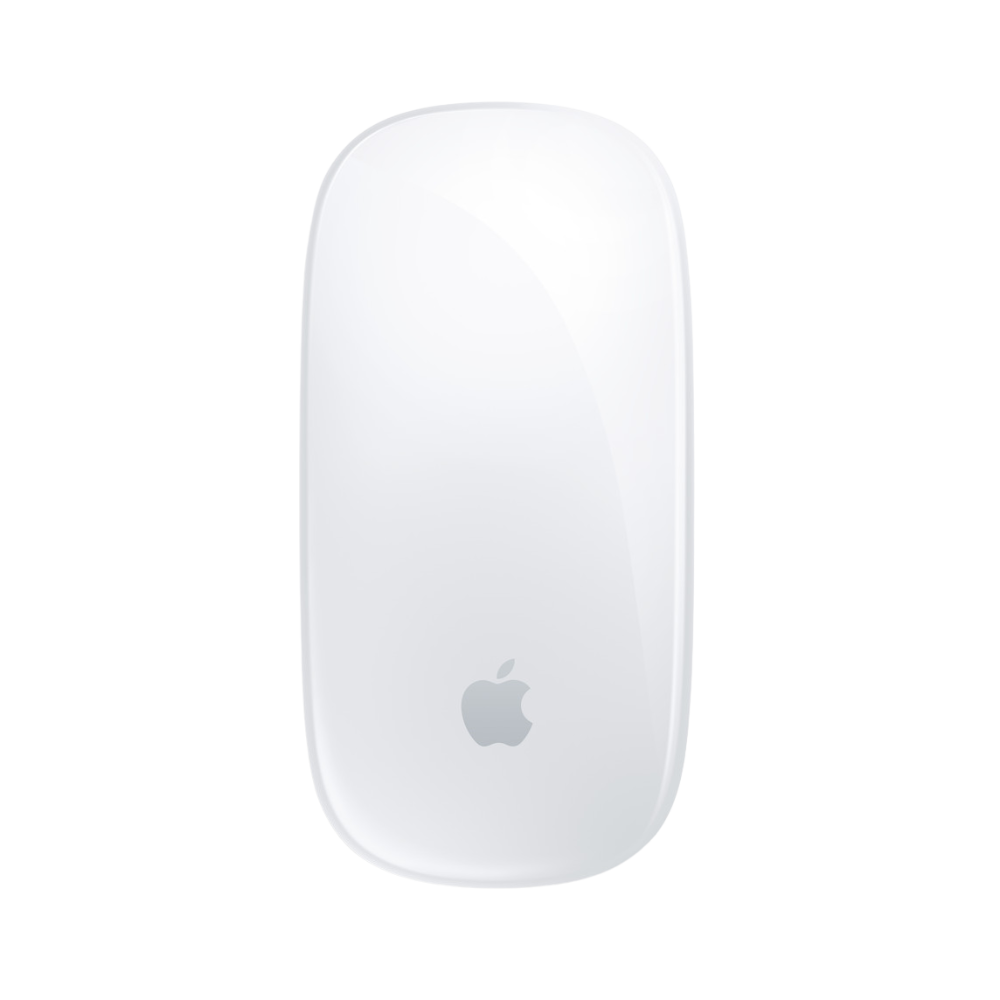APPLE MAGIC MOUSE