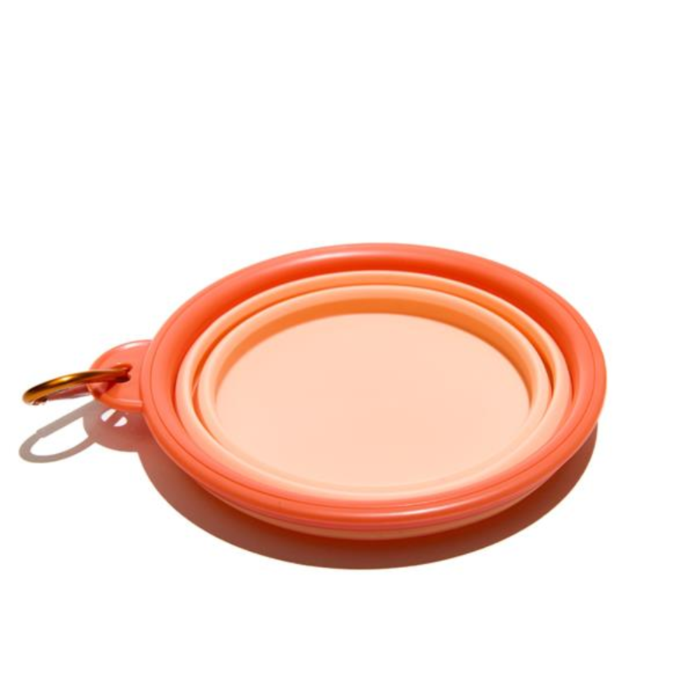 CIOTOLA PIEGHEVOLE PER ANIMALI MUITOMAS